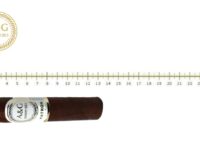 A&G Patron R64 Petit Torpedo