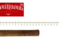 Anonymous Nica 56