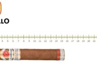 Carrillo New Wave Connecticut Divinos