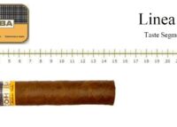 Cohiba Siglo VI