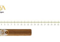 Oliva Connecticut Reserve Robusto