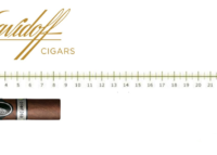 Davidoff Escurio Petit Robusto