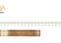 Flor de Oliva Connecticut Toro