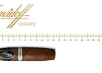 Davidoff Escurio Gran Perfecto