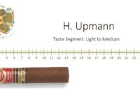 H.Upmann Magnum Finite Edición Limitada 2024