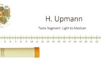 H. Upmann Coronas Junior