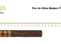 Flor De Oliva Maduro Toro