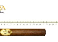 Oliva Serie G Churchill