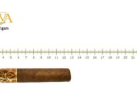 Oliva Serie V Double Robusto