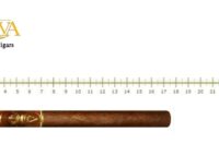 Oliva Serie V Lanceros