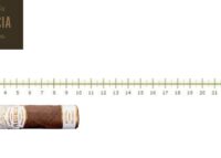 Plasencia Reserva Original Corona Corta