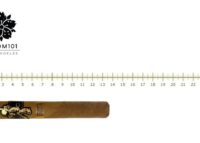 Johnny Tobacconaut Robusto